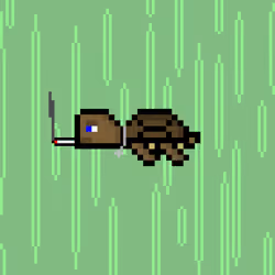 DAO Turtle #5289
