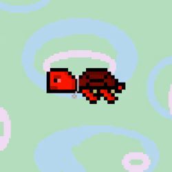DAO Turtle #4916