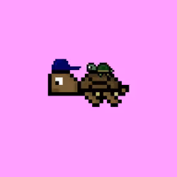 DAO Turtle #6829