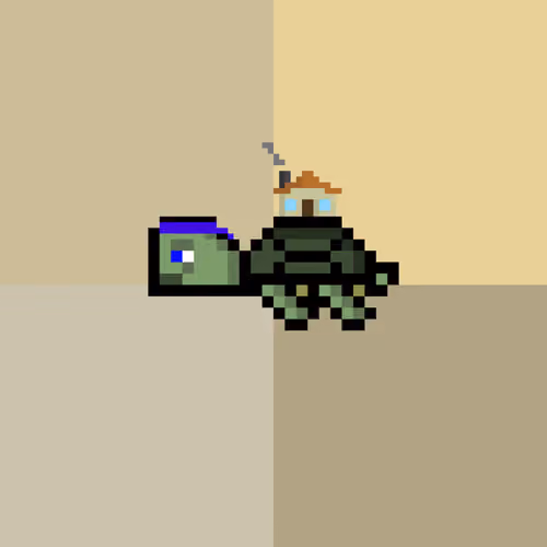 DAO Turtle #9851