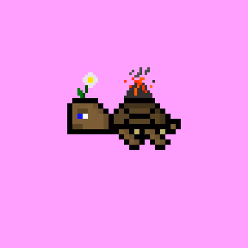 Dao Turtles