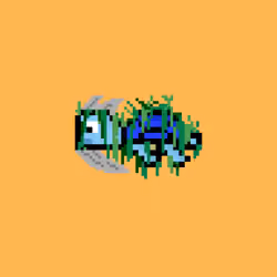 DAO Turtle #2071