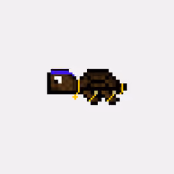 DAO Turtle #6888