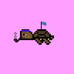 DAO Turtle #606