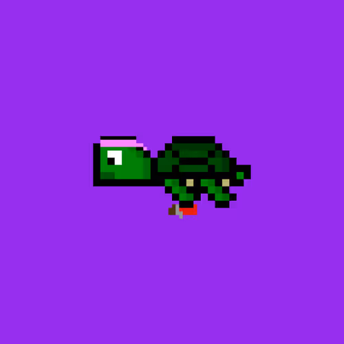 Dao Turtles