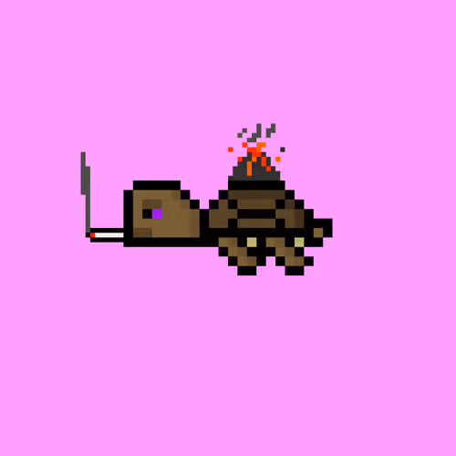 Dao Turtles