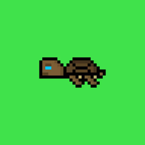 Dao Turtles