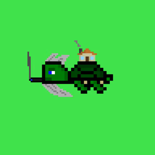 DAO Turtle #572