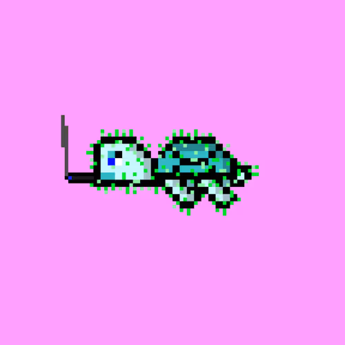 Dao Turtles