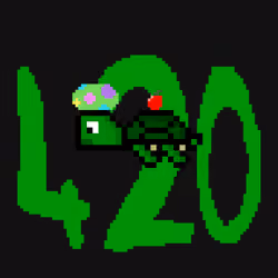 DAO Turtle #7904