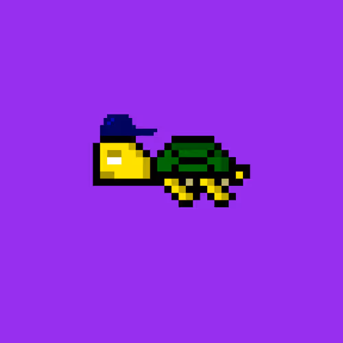 Dao Turtles
