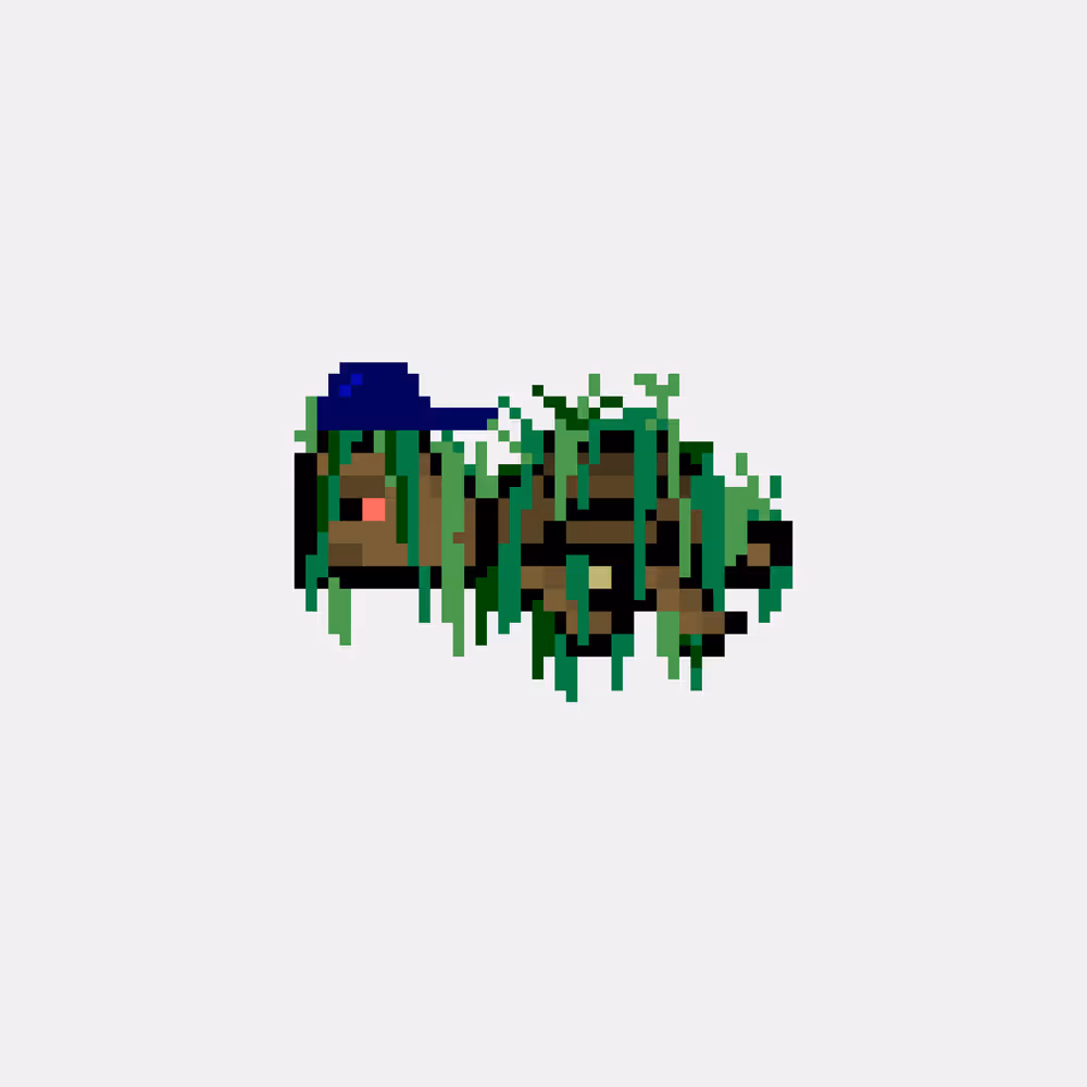 DAO Turtle #9837