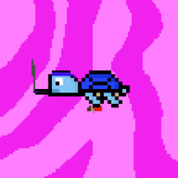 DAO Turtle #2242