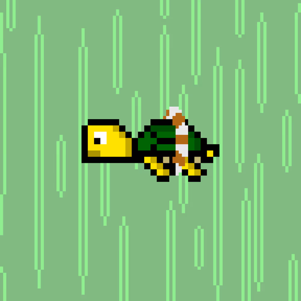 DAO Turtle #9829