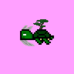 DAO Turtle #6853