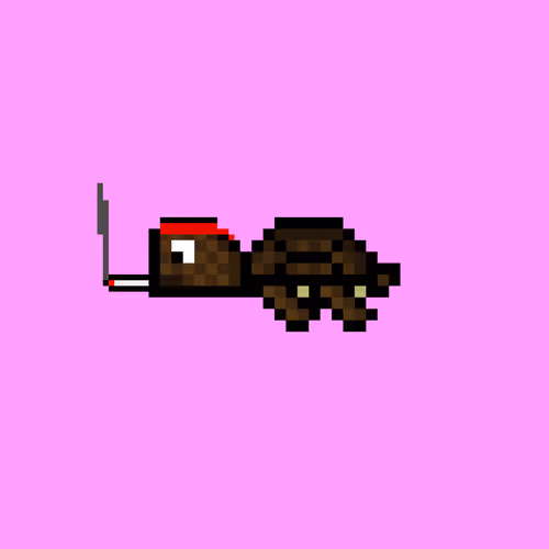 Dao Turtles