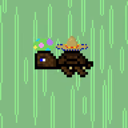 DAO Turtle #1952