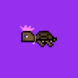 DAO Turtle #1271