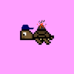 DAO Turtle #3104