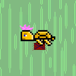 DAO Turtle #4092