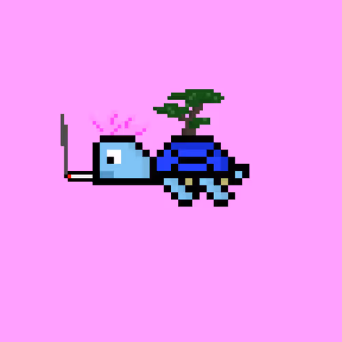 DAO Turtle #4836