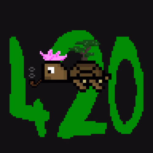 DAO Turtle #5218