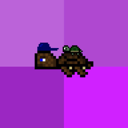 Dao Turtles