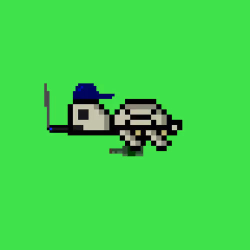 Dao Turtles