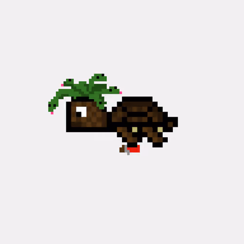 DAO Turtle #1804