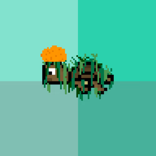 Dao Turtles