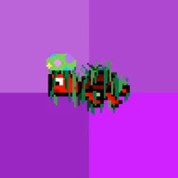 DAO Turtle #3374