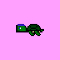 DAO Turtle #3757