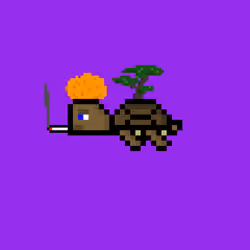 DAO Turtle #6039