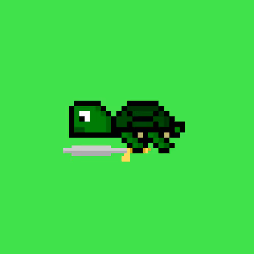 DAO Turtle #9852