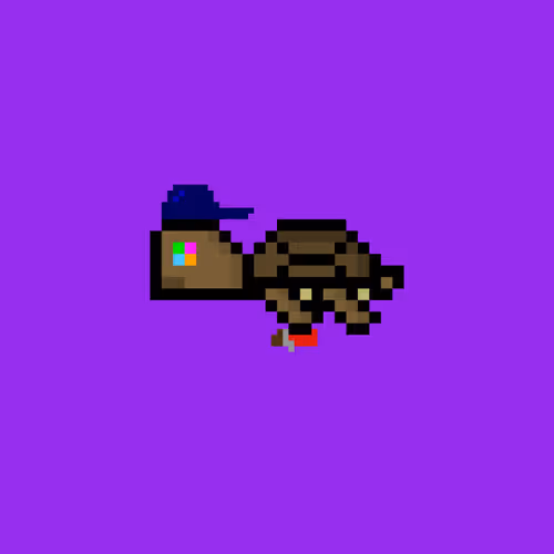 Dao Turtles