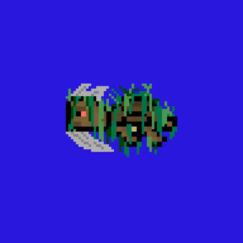 DAO Turtle #1069