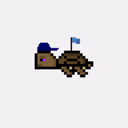 DAO Turtle #5382