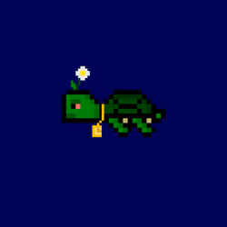 DAO Turtle #1614