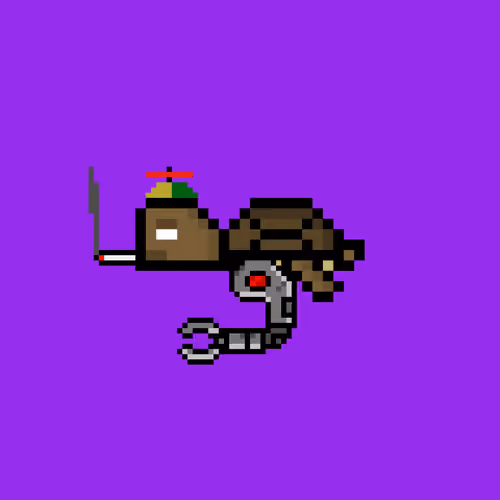 DAO Turtle #1970