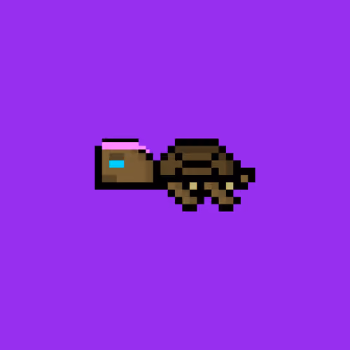 DAO Turtle #575