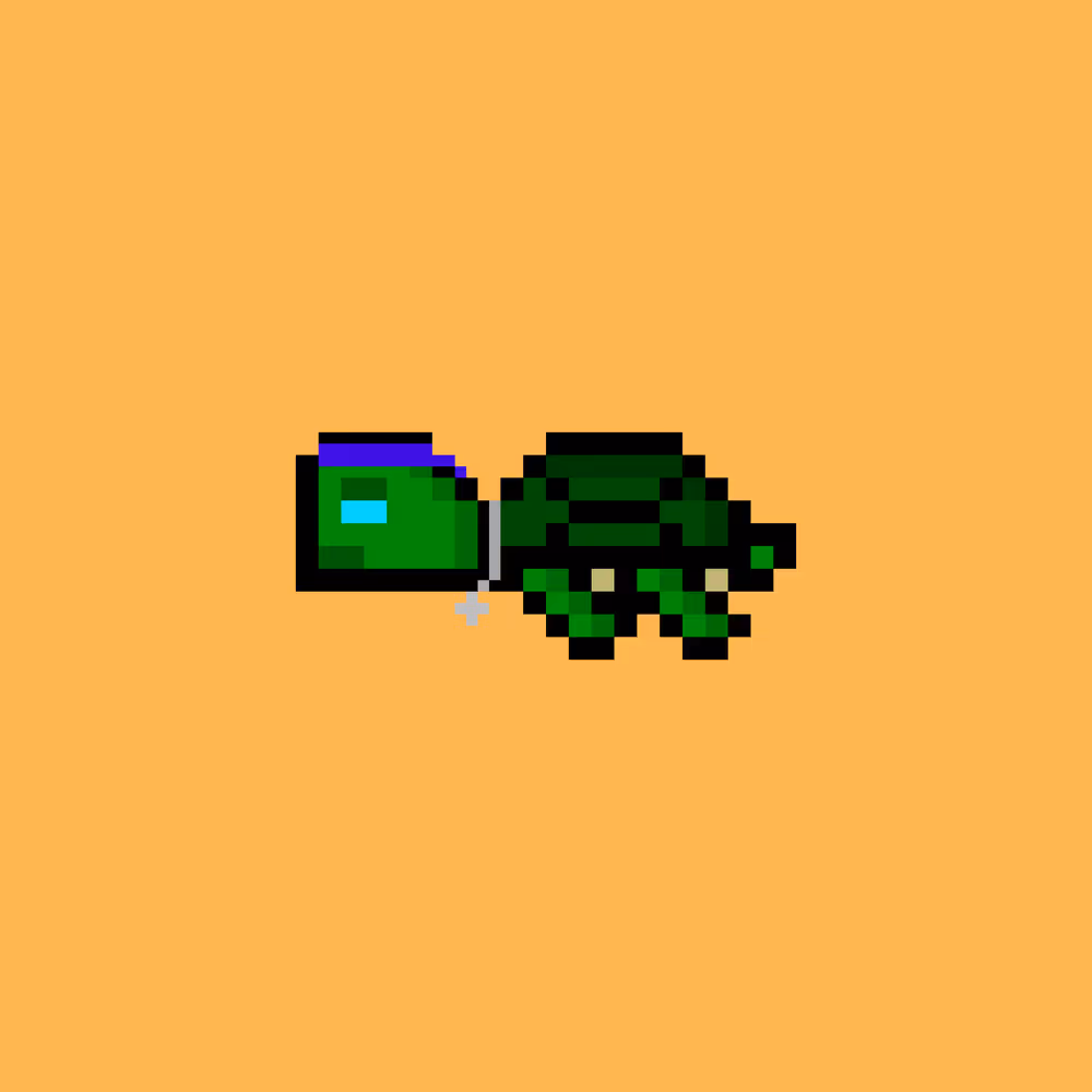 DAO Turtle #9844