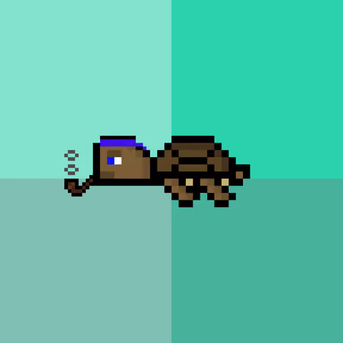 DAO Turtle #4989