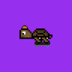 DAO Turtle #7558