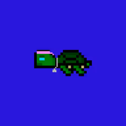 DAO Turtle #7519