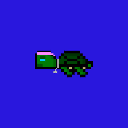 DAO Turtle #7519