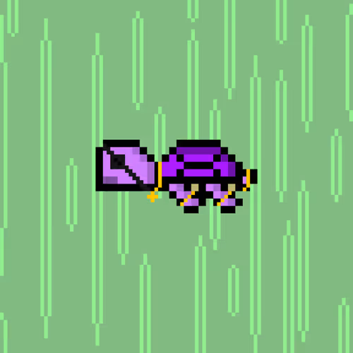 Dao Turtles