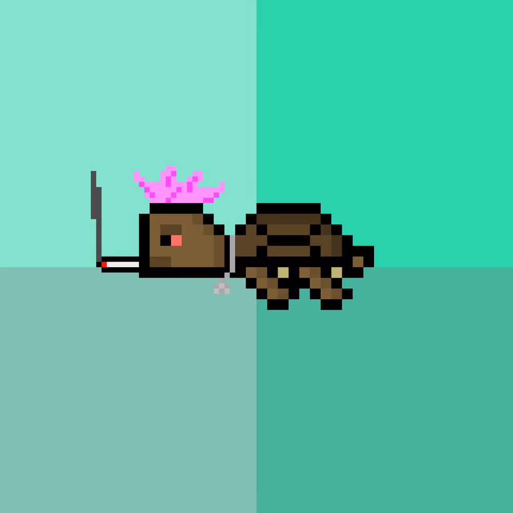 DAO Turtle #9812