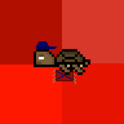 DAO Turtle #2481