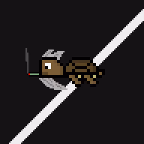 DAO Turtle #5507
