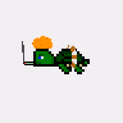 DAO Turtle #1288